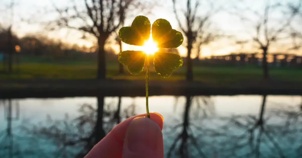 Hand holding a four-leaf clover against the setting sun by a river.