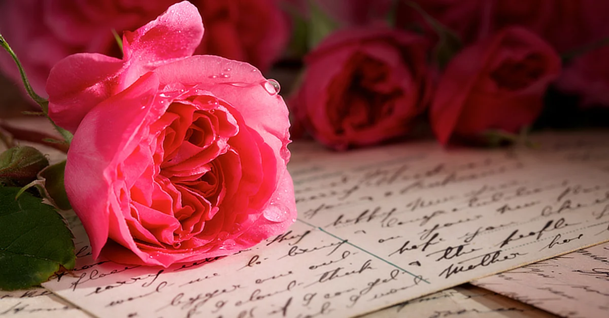 Pink roses with water droplets placed on handwritten letters.