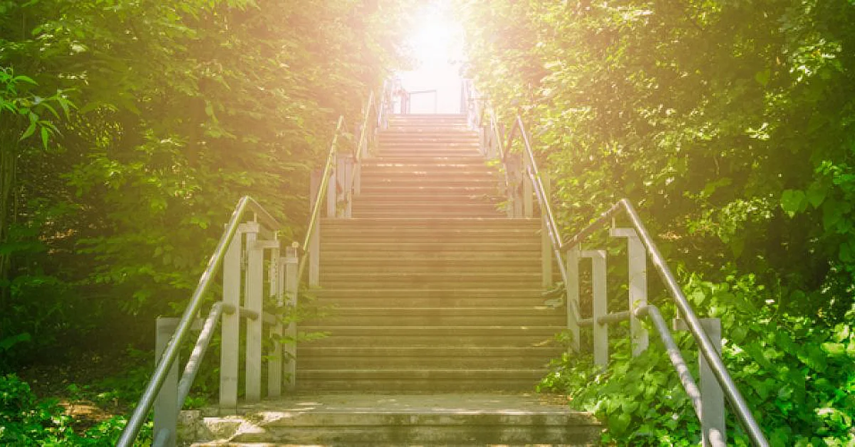 Staircase leading up through lush green foliage, bathed in sunlight at the top.